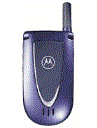 Best available price of Motorola V66i in Liberia